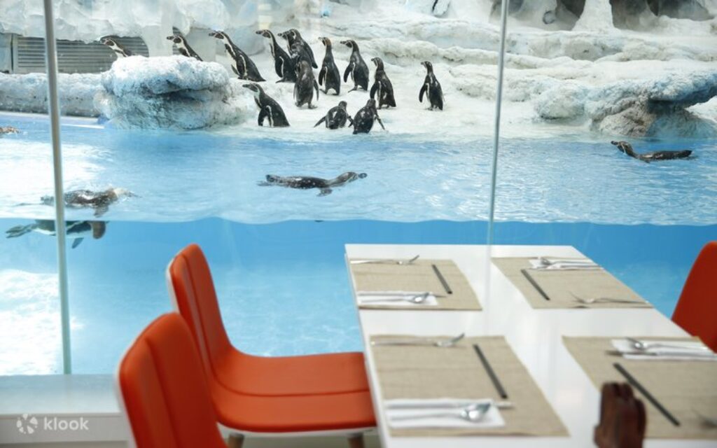 ห้องอาหาร Emperor Penguin Restaurant ใน Chimelong Penguin Hotel Zhuhai มองเห็นเพนกวินผ่านกระจก