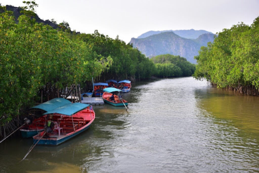 อุทยานป่าชายเลนปราณบุรี