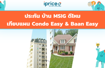 ประกัน บ้าน MSIG ดีไหม? เทียบแผน Condo Easy & Baan Easy