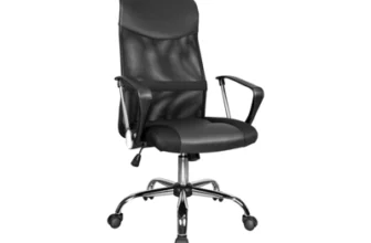 เก้าอี้เพื่อสุขภาพ Ergonomic Fennix MANTICORE