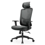 เก้าอี้เพื่อสุขภาพ Ergonomic Ergotrend MILTON