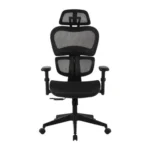 เก้าอี้เพื่อสุขภาพ Ergonomic Calina HLC-1399F