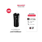 เครื่องฟอกอากาศ Sharp IG-GC2B