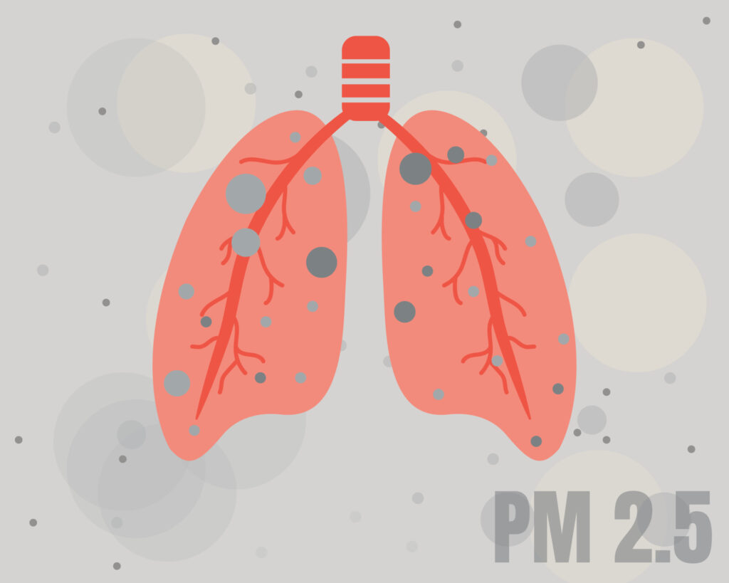 vecteezy_picture-of-lung-shows-much-dust-in-it-pm-2-5-crisis-in_6762385