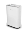 เครื่องฟอกอากาศ BWell PM1330