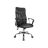 เก้าอี้เพื่อสุขภาพ Ergonomic Modena CINDY