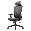 เก้าอี้เพื่อสุขภาพ Ergonomic Ergotrend MILTON