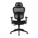 เก้าอี้เพื่อสุขภาพ Ergonomic Calina HLC-1399F